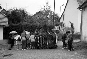 Wägele aus Altsteußlingen, zur Großansicht aufs Bild klicken, 136 KB Wägele aus Altsteußlingen, zur Großansicht aufs Bild klicken, 136 KB